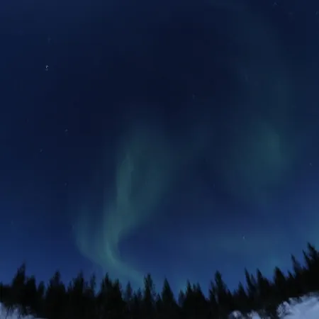 伊纳利尤图雅度假屋 度假居 *