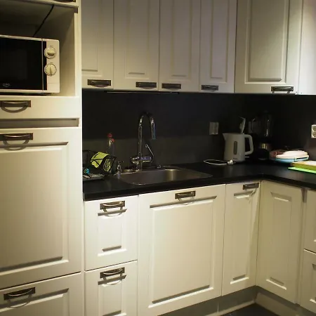 伊纳利尤图雅度假屋 *